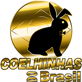 Logomarca - acompanhantes Manaus, garotas de programa em Manaus | COELHINHAS DO BRASIL